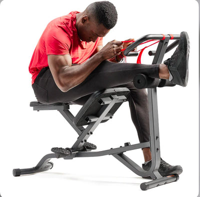 Back Stretch Trainer
